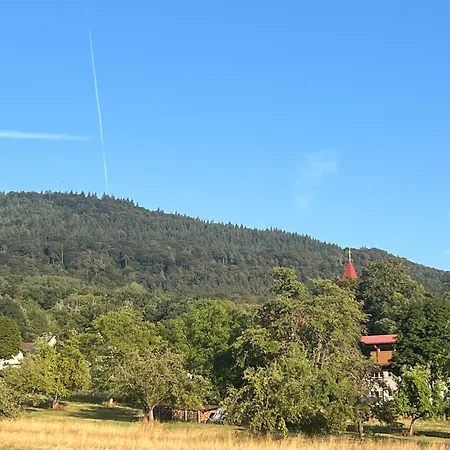Brack In Gaggenau-michelbach, Mit Terrasse Und Klimaanlage Διαμέρισμα Gaggenau
