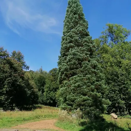 Brack In Gaggenau-michelbach, Mit Terrasse Und Klimaanlage * Gaggenau