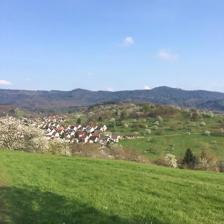Brack In Gaggenau-michelbach, Mit Terrasse Und Klimaanlage Διαμέρισμα Gaggenau
