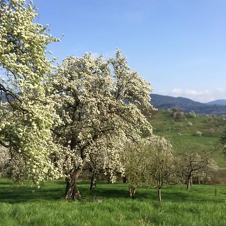 Διαμέρισμα Brack In Gaggenau-michelbach, Mit Terrasse Und Klimaanlage