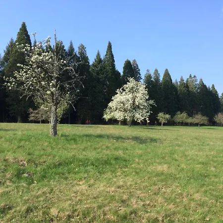 Brack In Gaggenau-michelbach, Mit Terrasse Und Klimaanlage