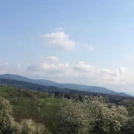 Brack In Gaggenau-michelbach, Mit Terrasse Und Klimaanlage * Gaggenau