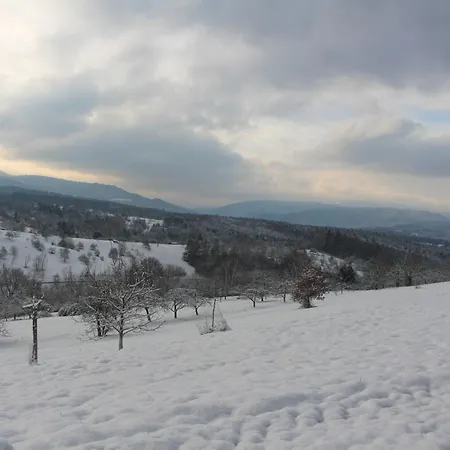 Brack In Gaggenau-michelbach, Mit Terrasse Und Klimaanlage *