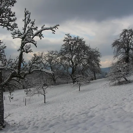 Brack In Gaggenau-michelbach, Mit Terrasse Und Klimaanlage Διαμέρισμα Gaggenau