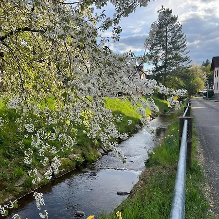 Brack In Gaggenau-michelbach, Mit Terrasse Und Klimaanlage Gaggenau